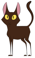 brown cat