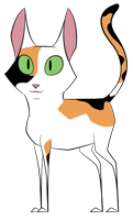 calico cat