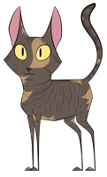 tortoiseshell tabby cat